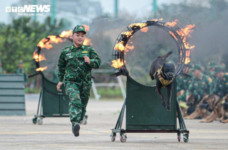 Điều đặc biệt đội quân khuyển tham gia trình diễn tại Triển lãm Quốc phòng quốc tế Việt Nam