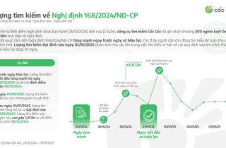 Người dùng internet tìm kiếm 'phạt nguội' tăng đột biến từ đầu năm