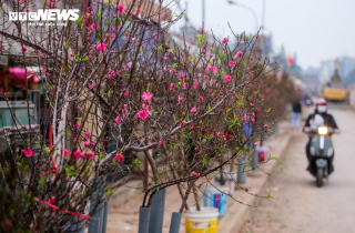 Mùa đông năm nay ít mưa hơn, Tết Nguyên đán khả năng rét khô