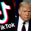 Ông Trump: Microsoft đang đàm phán để mua TikTok