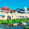 Nắng ấm, rêu xanh bung 'lộc' ở làng chài Quy Nhơn, giới trẻ đổ xô đến check-in