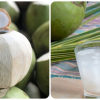 Những người nên thường xuyên uống nước dừa