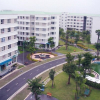 Sắp có quỹ nhà ở quốc gia: Thị trường phát triển lành mạnh, người dân dễ an cư