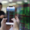 VinaCapital: Đợt bán tháo mở ra cơ hội mua vào cổ phiếu cơ bản tốt có định giá hấp dẫn