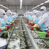 AmCham đề xuất Mỹ hoãn áp thuế 46% với Việt Nam