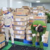 Gần 600 loại sữa giả bị tung ra thị trường: Bộ Y tế nói gì?