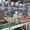 Thu nhập của người lao động tăng 720.000 đồng so với quý I-2024