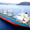 PVTrans vượt kế hoạch lợi nhuận năm 2024, chia cổ tức 32% bằng cổ phiếu, tiếp tục hiện đại hóa đội tàu