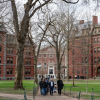 ĐH Harvard gọi đề xuất tước quy chế miễn thuế của ông Trump là phi pháp