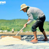 Diêm dân 'đội nắng' cào muối trên cánh đồng hơn 200 năm tuổi