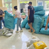 Hà Nội lập 2 đoàn kiểm tra việc sản xuất, buôn bán thuốc chữa bệnh, sữa và thực phẩm chức năng
