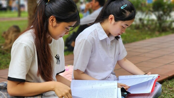 'Đừng thần thánh hoá IELTS để xét tuyển, giỏi ngoại ngữ không chắc giỏi các môn'