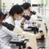 Bộ Nội vụ quy định lương chuyên gia tư vấn tối đa 70 triệu đồng