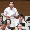 Đại biểu Quốc hội: Nhiều doanh nghiệp cố tình báo lỗ để trốn thuế