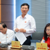 Nhiều Chủ tịch UBND tỉnh và huyện bị kiện nhưng không đến tòa