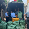 Hà Nội: Tạm giữ 800kg trứng gà non, tràng gà đông lạnh không rõ nguồn gốc
