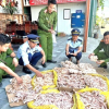 Phát hiện gần 500kg chân gà, đuôi lợn 'bẩn' trong kho công ty thực phẩm sạch