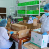 Hỗ trợ thực chất, hiệu quả doanh nghiệp nhỏ, siêu nhỏ và hộ kinh doanh
