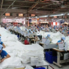 Doanh nghiệp khởi nghiệp được miễn thuế 2 năm đầu, 50% cho 4 năm tiếp theo