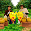 Phân bón NPK Phú Mỹ: Công nghệ sạch - Phân bón sạch