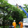 Ngành điện TP.HCM tăng cường an toàn điện mùa mưa, bão