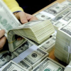 Tỷ giá USD/VND biến động nhẹ trong ngày hôm nay