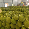 Bộ Nông nghiệp và Môi trường tăng cường chống buôn lậu, gian lận thương mại, hàng giả
