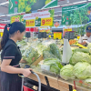 Đề xuất áp thuế với sản phẩm nhựa dùng một lần và túi ni lông: Giải pháp cấp thiết để bảo vệ môi trường