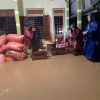 Ngập lụt do mưa lớn, Hà Tĩnh trắng đêm di dân và tài sản