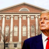 Ông Trump cho Đại học Harvard 30 ngày 'kháng cáo'