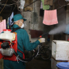 Hà Nội ghi nhận 9 ca mắc sốt xuất huyết trong tuần