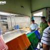 C.P. Việt Nam thừa nhận hình ảnh heo bệnh được chụp tại lò mổ thuộc công ty