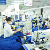 Xuất khẩu bền vững với tiêu chuẩn thị trường cao