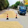 Nam Định yêu cầu truy tố người đốt rơm rạ, phơi thóc trên đường gây tai nạn