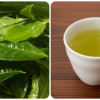Thời điểm uống nước chè xanh để hỗ trợ thải độc gan hiệu quả