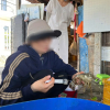 Một cơ sở ở Phú Yên thua mua tôm hùm chết, bơm tạp chất giữ tươi rồi đem bán