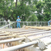 Bảo đảm nguồn nước mùa nắng nóng: 