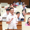 Phó Thủ tướng Hồ Đức Phớc : Nên khoán thuế với hộ có doanh thu dưới 1 tỷ đồng