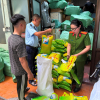 Quản lý thị trường Hà Nội xử phạt và buộc tiêu hủy bao bì xâm phạm nhãn hiệu gạo ST25