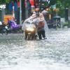 Hà Nội mưa lớn, nguy cơ ngập úng loạt tuyến phố và dự báo thời tiết 10 ngày