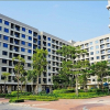 Lãi suất ưu đãi chưa đủ hấp dẫn, người trẻ vẫn khó mua nhà