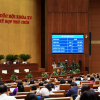 Miễn toàn bộ học phí cho học sinh công lập từ năm học 2025-2026