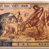 Đi tìm tác giả vẽ “con trâu xanh” trên tiền Việt Nam Dân chủ cộng hòa