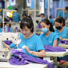 Đóng bảo hiểm xã hội tự nguyện trước 2021 sẽ được nghỉ hưu sớm 2-5 năm