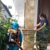 TP Huế có 12 trường hợp nhiễm liên cầu lợn, 1 người chết