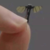 Mổ xẻ 'drone muỗi' Trung Quốc chuyên dùng cho do thám quân sự