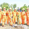 NCSP và PV GAS D chung tay phủ xanh không gian sống