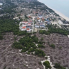 2,5 ha rừng phòng hộ ven biển bị chặt phá, Lãnh đạo phường ở Huế nói gì?