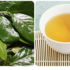 Những người nên hạn chế uống nước chè xanh