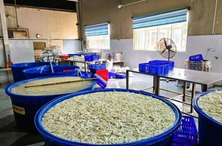Phát hiện kho hàng chứa 6,9 tấn chân gà bẩn, ngâm hoá chất ở Thanh Hoá